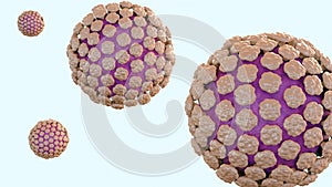 3d rendering of Norovirus causes stomach flu photo
