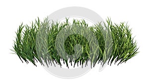 3D Rendering Patch of Grass on White