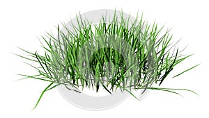 3D Rendering Patch of Grass on White
