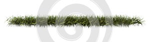 3D Rendering Patch of Grass on White