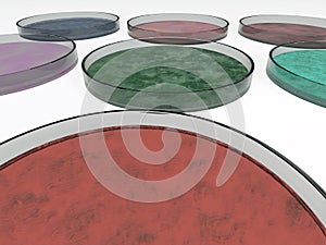 3D rendering of petri dishes on a white background