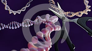 A 3d rendering of plasmid DNA and scissors.