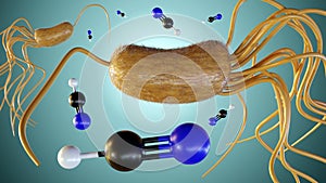 3d rendering of Pseudomonas fluorescens and cyanide molecules