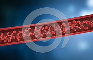 Red blood cells in vein