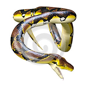 3D Rendering Reticulated Python on White