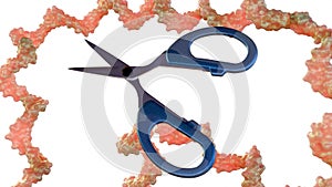A 3d rendering of RNA molecule and a pair of scissors.