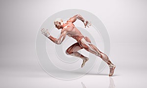 3D Rendering : a running male mesomorph character illustration with Muscle tissues