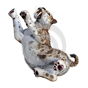 3D Rendering Sabertooth Tuger on White