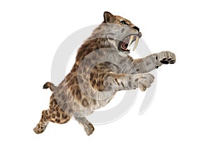 3D Rendering Sabertooth Tuger on White photo