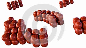 3d rendering of Sarcina with tetrad characteristic morphology photo