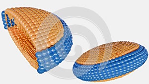 3d rendering of scattered bicelles as disc-shaped lipid assembly photo