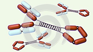 Scattered Immunoglobulin or IgG3 molecules in the background.