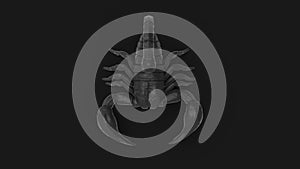 3d rendering of a scorpion isolated in a studio colored background