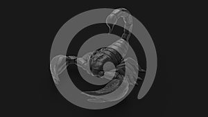 3d rendering of a scorpion isolated in a studio colored background