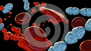 3d rendering of Septicemia, or sepsis by Streptococcus pyogenes photo