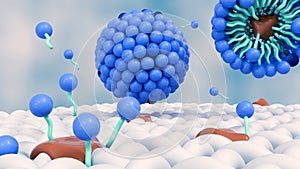 the soap molecules form structures called micelles