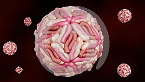 A 3D rendering of spherical dengue virus particles.