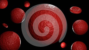 a red blood cell (RBC) that is spherical in shape or spherocyte photo