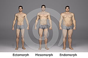 3D Rendering : 3 type of male body ,front view