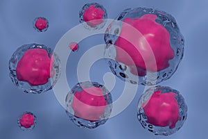 3D rendering Stem cells of the body under a microscope