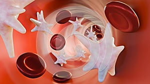 3d rendering of Thrombocytes and red blood cells photo