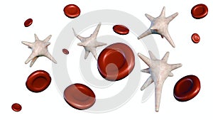 3d rendering of Thrombocytes and red blood cells photo