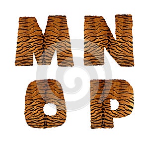 Tiger fur alphabet - letters M-P photo