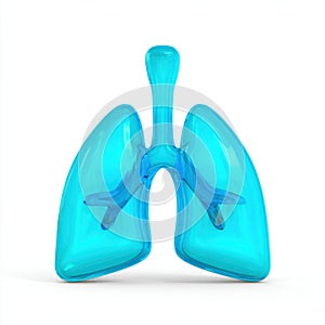 3D Rendering of a Transparent Anatomical Lung