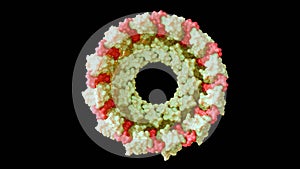 A 3D rendering of the TRiC or CCT chaperonin.