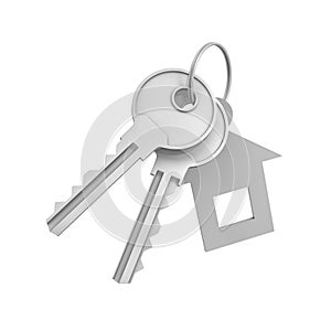 3d rendering of two isolated silver keys on a key ring with label