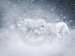 3D rendering of two majestic white wolfs in snow