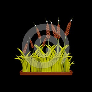3D Rendering Of Wheat  Ear Field Element On Black