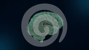 3D rotating brain model with binar cod. Motion graphic of digital brain. Deep learning. Computer programming. photo
