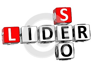 3D Seo Lider Crossword