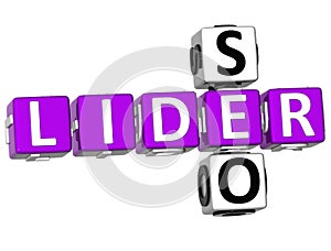 3D Seo Lider Crossword