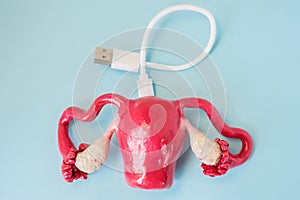 3D shape of uterus with connected by charging cord, cable or for connecting with other devices. Concept of technology bionic or a photo
