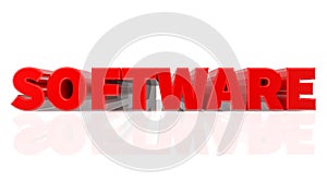 3D SOFTWARE word on white background 3d rendering
