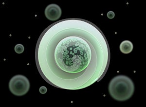 3d stem cell. large number of bactetia.