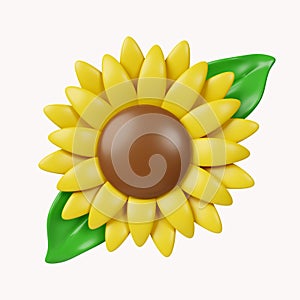 3d Sun flowers .icon isolated on white background. 3d rendering illustration. Clipping path.