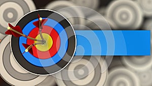 3d target with three arrows