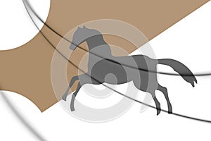 3D Tunis Hafsid flag.