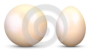 3D Vector Sphere and Egg - Side by Side - Textured with Pearl , Nacre Material. photo