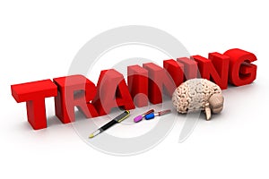 3d world training with human brain and pen