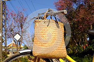 Da Lat, Viet Nam in springtime, yellow bike cherry blossom tree bloom in spring, holiday trip by bicycle