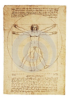 Da Vinci's Vitruvian Man