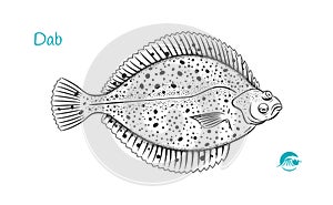 Dab hand-drawn illustration