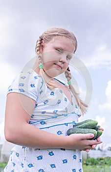 At the dacha, a girl holds fresh green cucumbers in her hands.