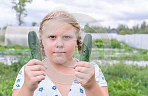 At the dacha, a girl holds fresh green cucumbers in her hands.