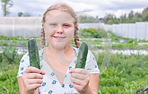 At the dacha, a girl holds fresh green cucumbers in her hands.