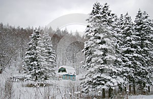 Dacha- lodge in winter